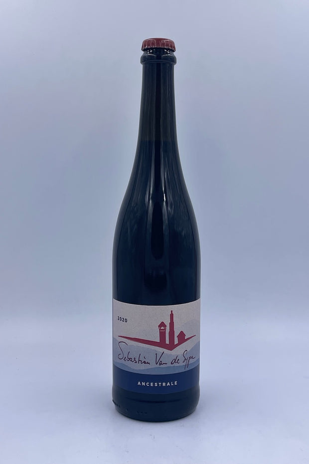 Sebastian Van de Sype, Grasparossa Lambrusco, Castelvetro di Modena, Emilia-Romagna, Grasparossa, 2021